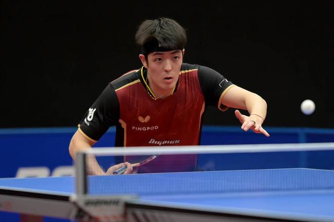 不仅反映了 不仅反映了